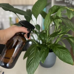 Botella Spray de Vidrio Ámbar