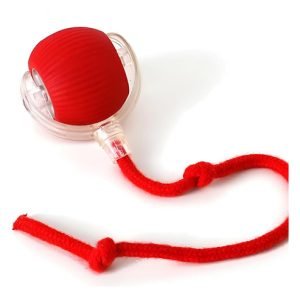 Pelota De Juguete Para Mascotas Interactiva Con Velocidades